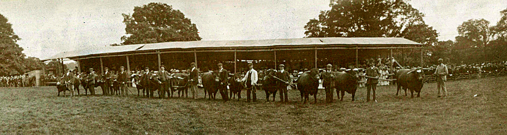 Devon County Agricultural Show in Pilton House Park 1908