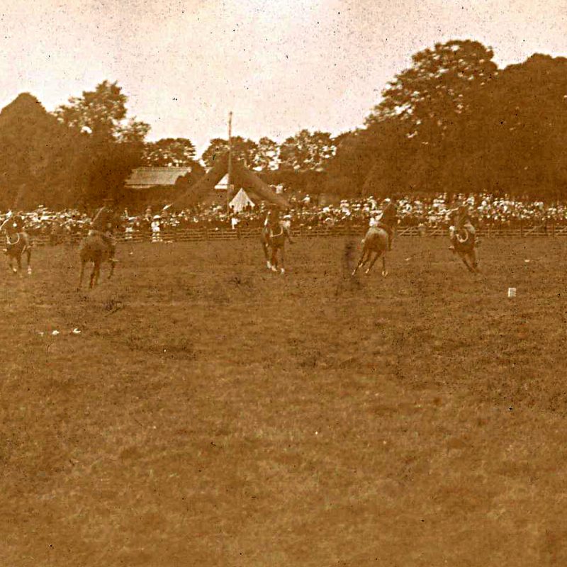 Devon Agricultural show in grounds of Pilton House 1900 : No 2