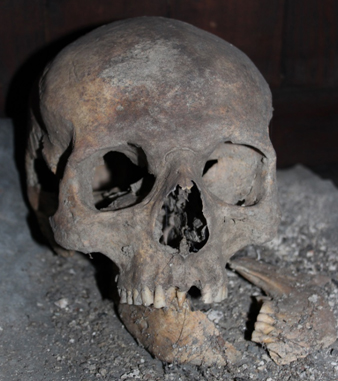 The Bull Hill Skull