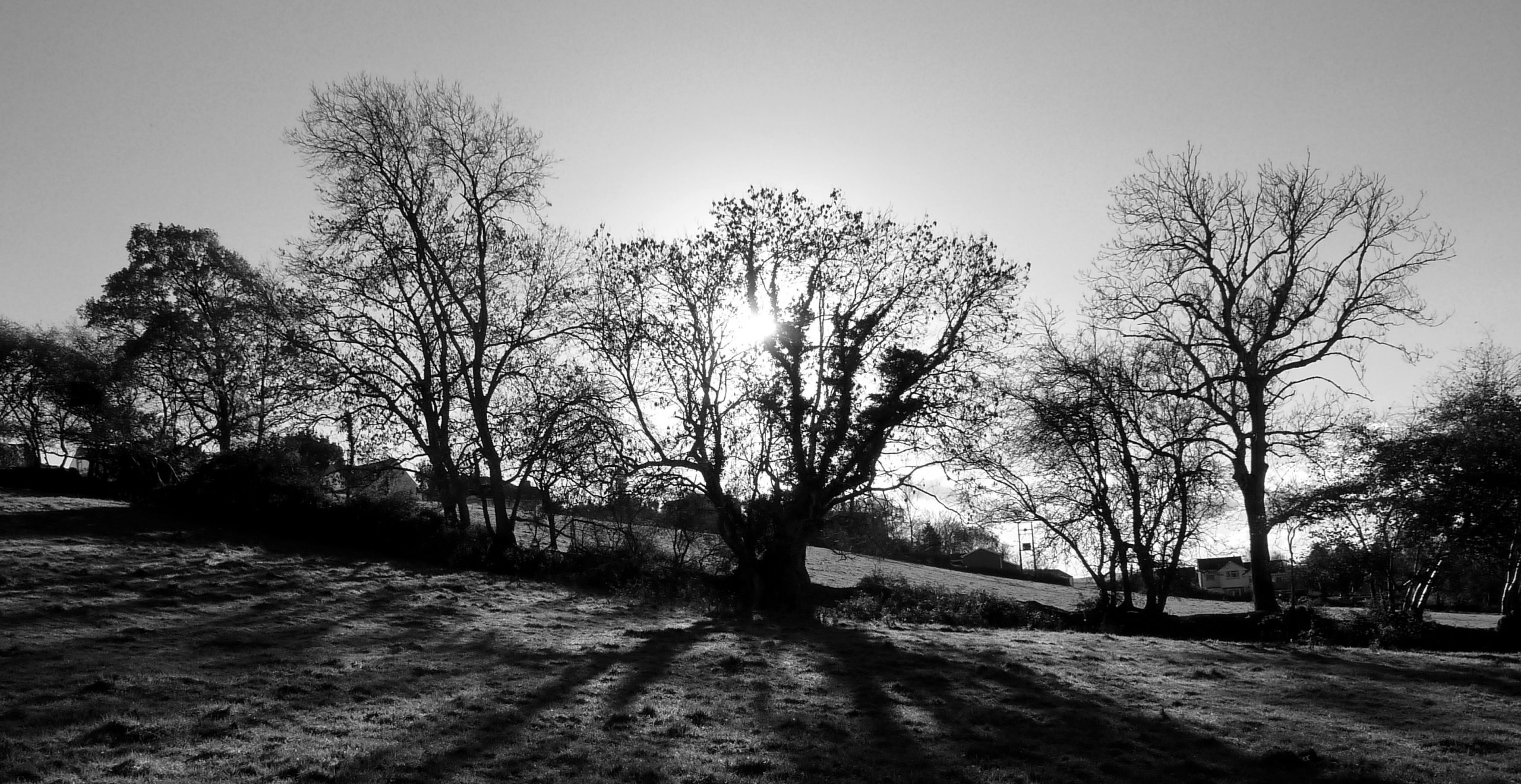The Story of Benjamin Manning's Life in North Devon